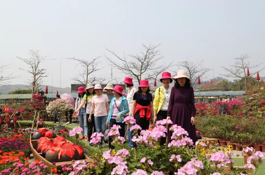 学党史 悟思想| 威廉希尓指数500她力量 缤纷向前——集团开展“天地广 新女性 学党史 鼓干劲”活动