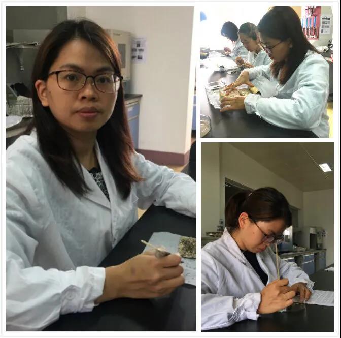 【“五一劳模谈”系列报道之四】丝路精神传承蚕桑文化，技术革新铸就育种能手——记广东丝源集团技术中心副主任王先燕