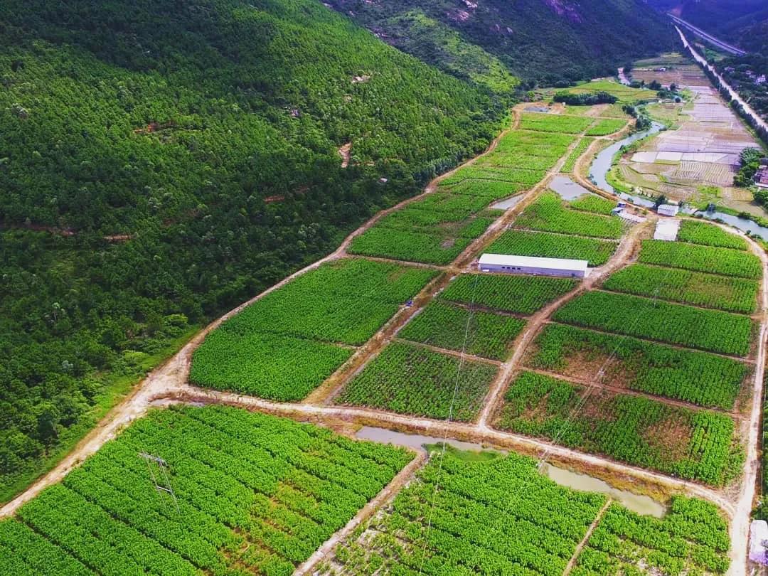 【2019年度威廉希尓指数500荣誉体系先进集体系列报道四：羊城集团】坚定信心 奋勇争先 谱写新时代羊城集团全面转型发展新篇章