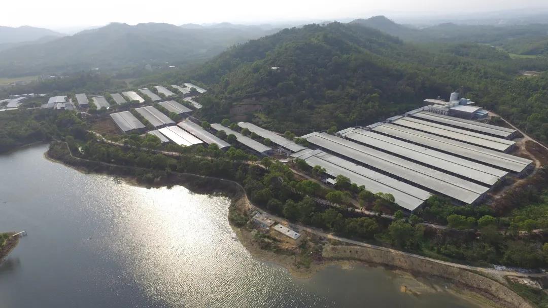 【“新威廉希尓指数500 新风采”专题报道】省食品：在履职尽责中展现国企新风采 全力保障大湾区“菜篮子”工程