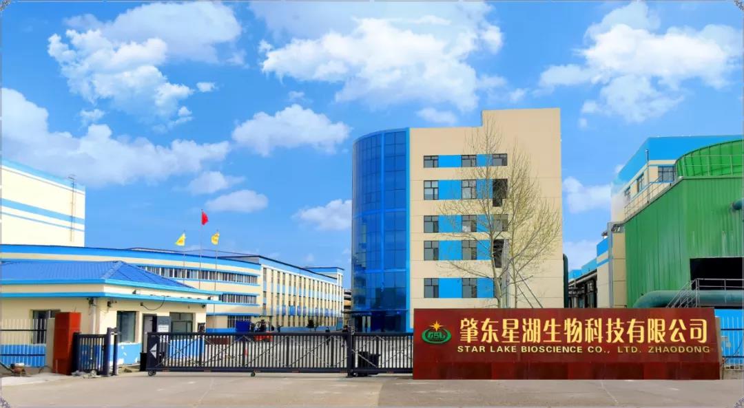 【“新威廉希尓指数500 新风采”专题报道】 星湖科技：打造粤龙合作项目 赋能产业高质量发展