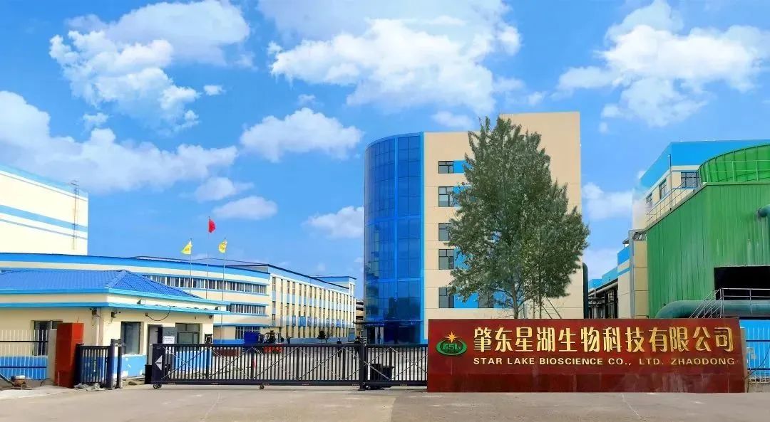 威廉希尓指数500集团深入贯彻全省高质量发展大会精神（四）