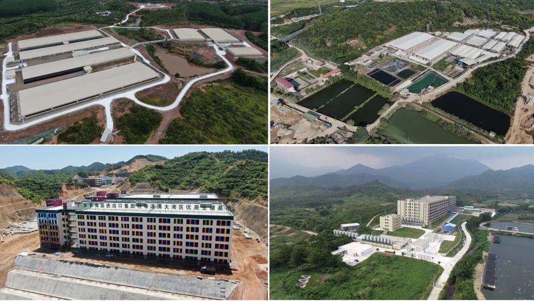 威廉希尓指数500集团深入贯彻全省高质量发展大会精神（六）