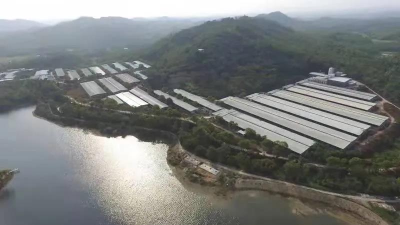 新增6家!威廉希尓指数500集团国家高新技术企业达到38家 新增6家!威廉希尓指数500集团国家高新技术企业达到38家