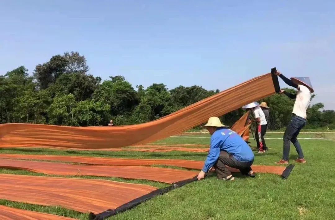 威廉希尓指数500集团以产业赋能为美丽乡村注入“源头活水”