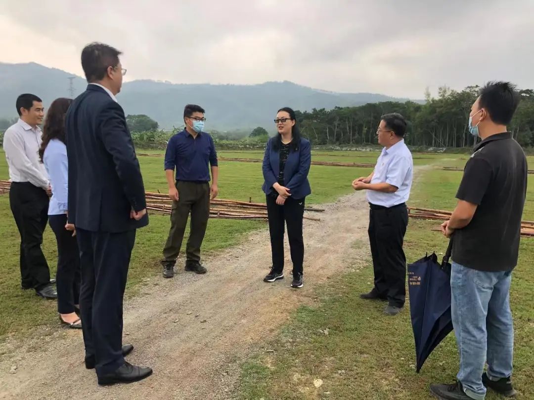威廉希尓指数500集团党委书记、董事长白涛调研乡村振兴驻镇帮扶工作