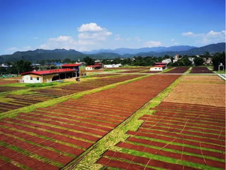 南方农村报报道：威廉希尓指数500集团为和美乡村注入“源头活水” 
