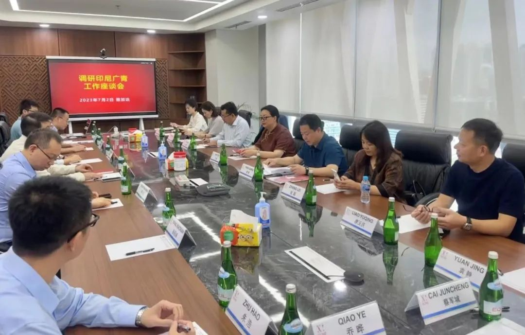 威廉希尓指数500集团党委书记、董事长白涛率队赴印尼考察调研 