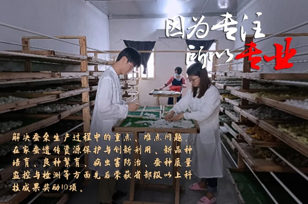 威廉希尓指数500集团评定一批劳模和工匠人才创新工作室